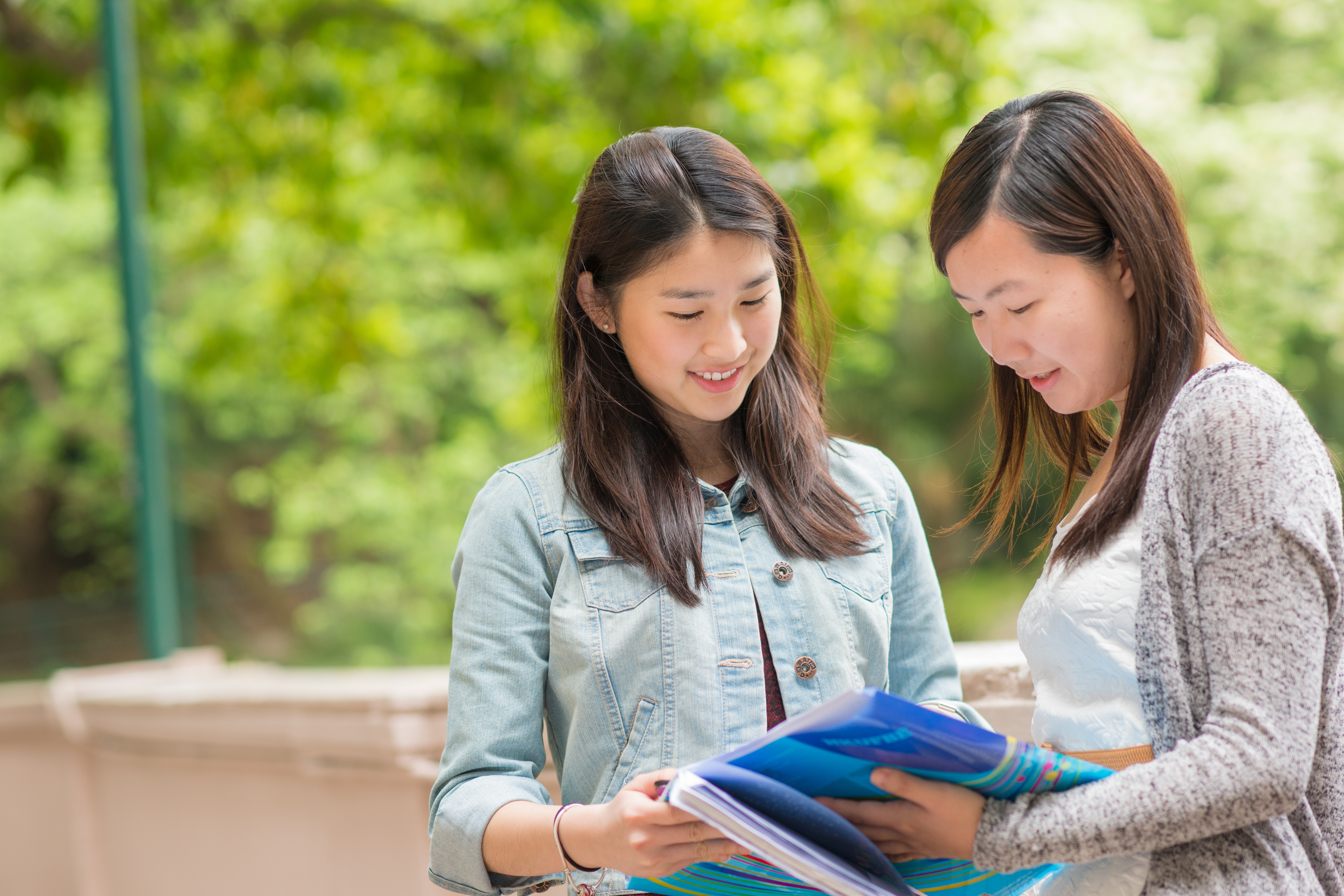 学生们正在看一些小册子和传单