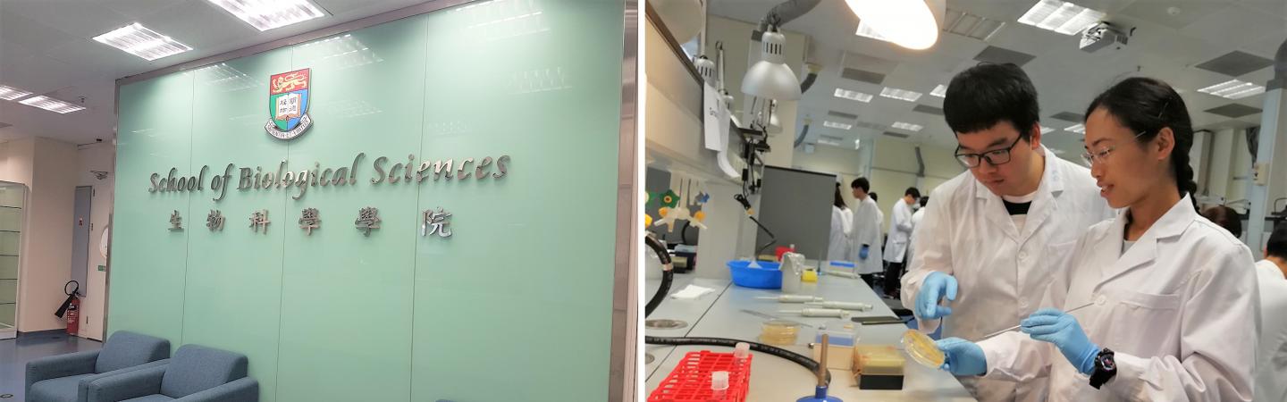 Entrance of School of Biological Sciences and two students doing experiment in the laboratory