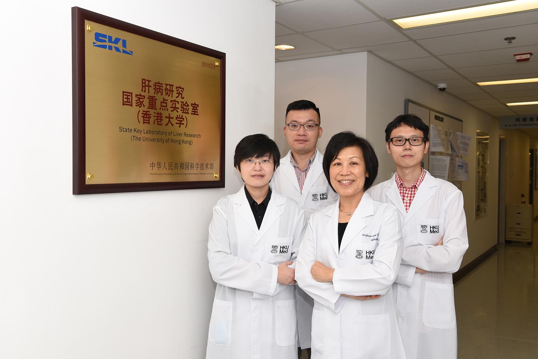 (front row from right): Professor Irene Ng, Chair Professor of the Department of Pathology, Loke Yew Professor in Pathology, HKUMed and Director of the State Key Laboratory of Liver Research (HKU); Dr Karen Sze Man-fong, Assistant Research Officer, Department of Pathology, HKUMed; (back row from right) Dr Tsui Yu-man, Post-doctoral Fellow and Dr Daniel Ho Wai-hung, Assistant Professor, Department of Pathology, HKUMed.