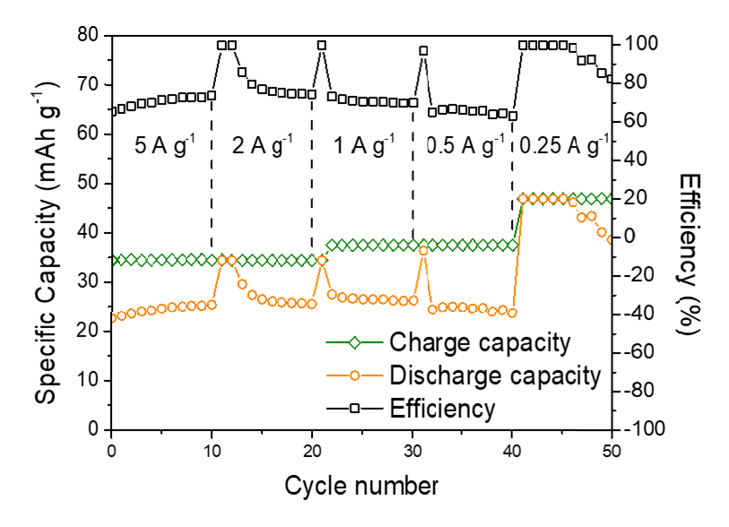 Electrochemical performance of the aqueous Mg metal battery 