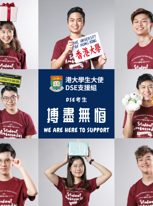 DSE supporing IG