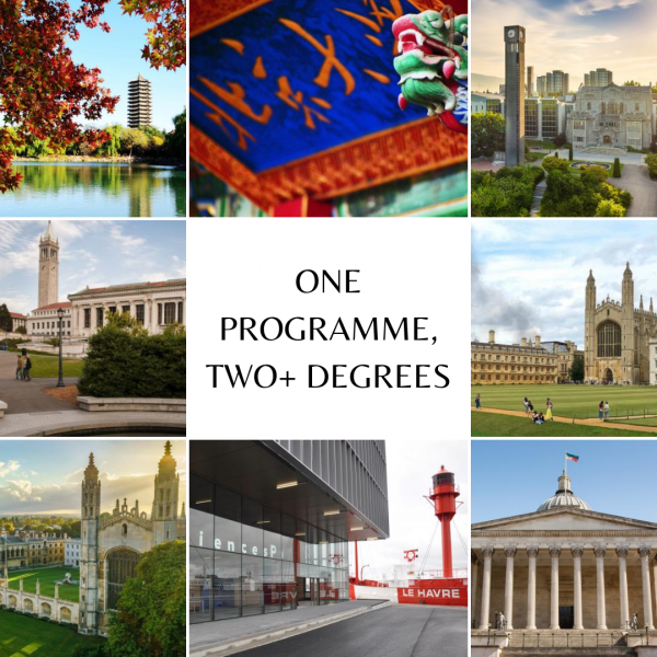 Collage of the world’s foremost universities photos with the text "one programme, two + degrees" in the centre 