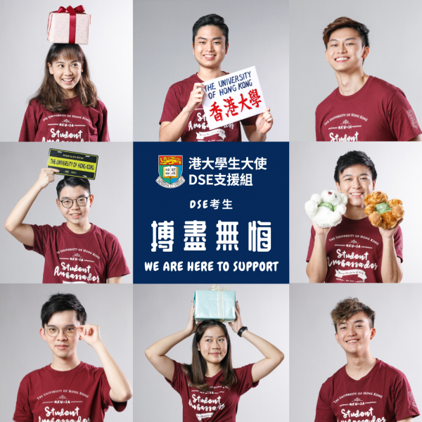 DSE supporing IG