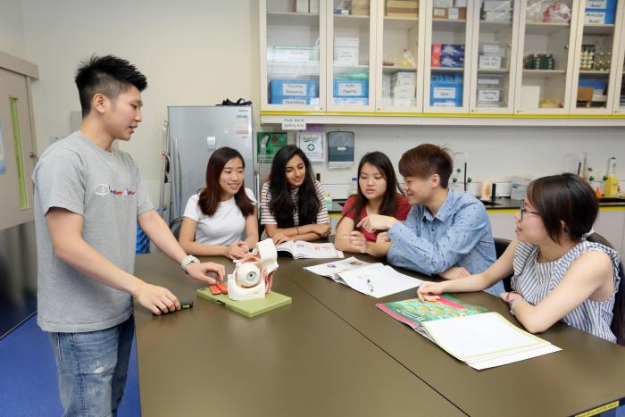 Students discussing with books and a human eye model on table