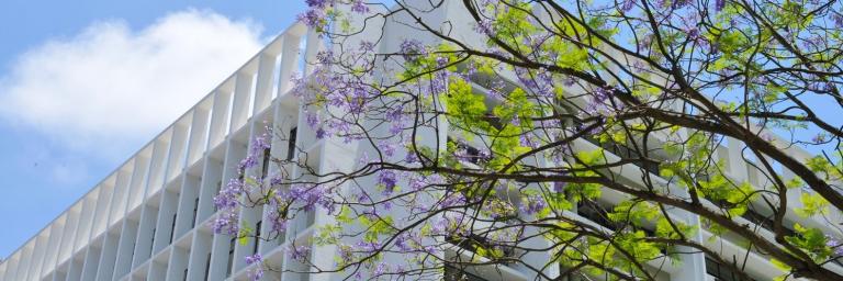 University of Hong Kong Knowles Building