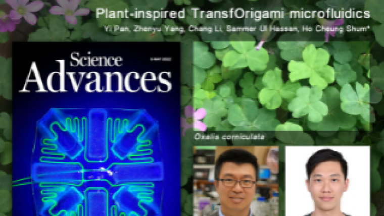 研究論文 「Plant-inspired TransfOrigami microfluidics」刊登於《科學進展》2022年5月6日的封面。研究團隊（左起）為香港大學機械工程系岑浩璋教授和潘益博士。背景圖片為三葉草。